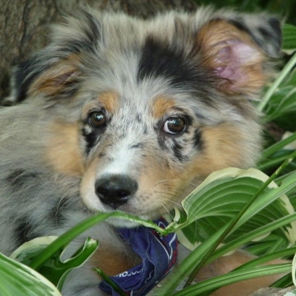 Meet your Posher, Heather - Picture 1 of 1